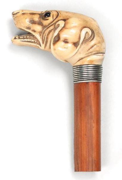 null Pommeau de canne en ivoire sculpté à décor de tête de chien. (accident à une...