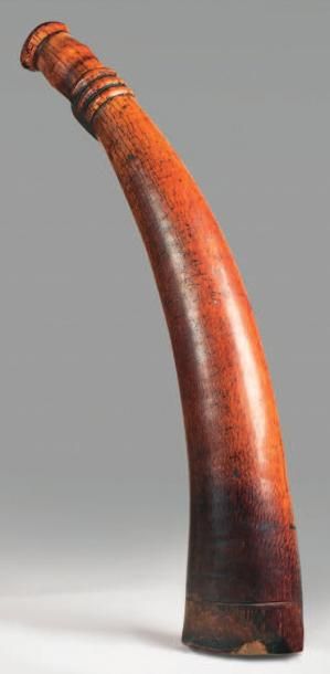 null Olifant en ivoire à patine rouge Ex Zaire, belle ancienneté. Long.: 63 cm.
