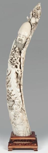 null Important sujet en ivoire sculpté repré - sentant Shoulao debout, tenant une...