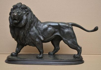 Édouard DELABRIÈRRE Lion Bronze à patine verte nuancée de noir et de brun (traces...