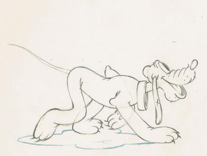 null SOCIETY DOG SHOW Studio Disney, 1939. Dessin d'animation de Pluto à la mine...