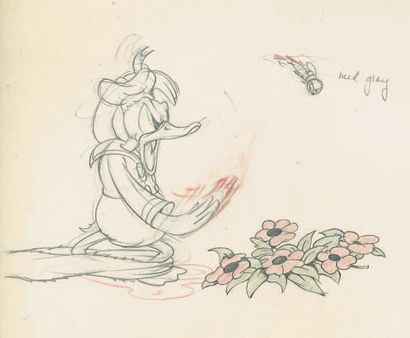 null MOOSE HUNTERS Studio Disney, 1937. Dessin d'animation de Donald à la mine de...