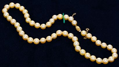 null Collier de perles de cultures. Fermoir or jaune