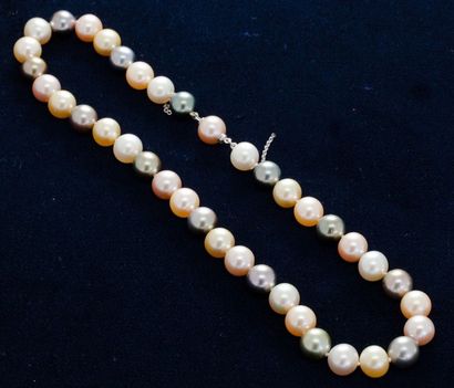 null Collier de perles ras-le-cou, perles grises, blanches et roses (39 env.), fermoir...