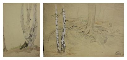 CREPIN Suzanne, 1880-1956 Etude de pied d'arbre - Deux études d'arbres Dessin au...