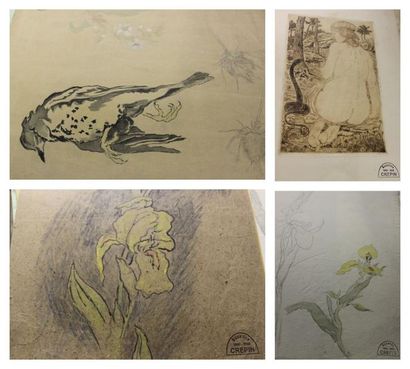 CREPIN Suzanne, 1880-1956 Trois études d'oiseaux morts - Quatre études d'iris, Dessins...
