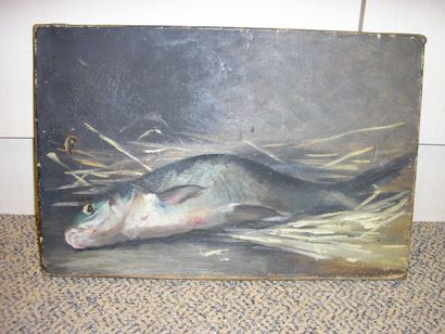 Ecole Moderne Le poisson, huile sur toile, non signée, accident, 27 x 41 cm.