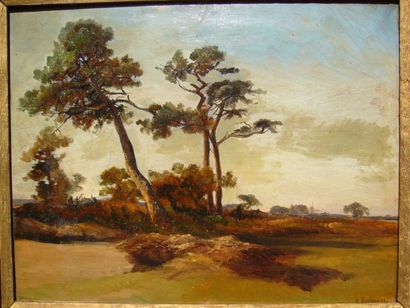 ÉCOLE FRANCAISE, 2ème moitié du XIXème siècle Étude de paysage aux pins, huile sur...