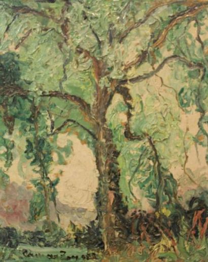 CAMAX ZOEGGER Marie-Anne, 1881-1952 L'arbre Huile sur toile, signée en bas à gauche,...