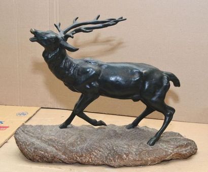 DE FIESOLE Nino, XIX-XXe siècles Cerf bramant Bronze à patine antique (usures et...