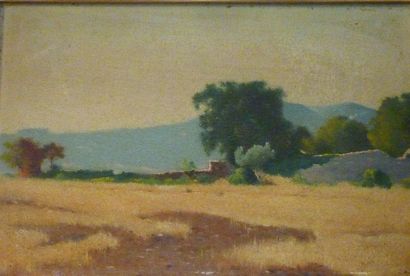 Ecole Moderne Paysage de campagne Huile sur carton, non signé, 11x18 cm