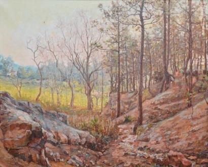 PASTOUR Louis, 1876-1948 Rochers en forêt, 1903 Huile sur toile (restaurations et...