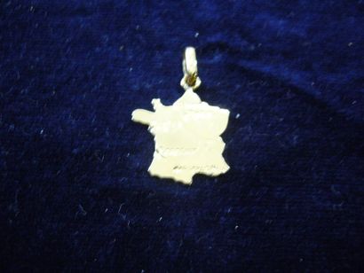 null 48 pendentifs "France" or jaune. 48,70 g. (or jaune)