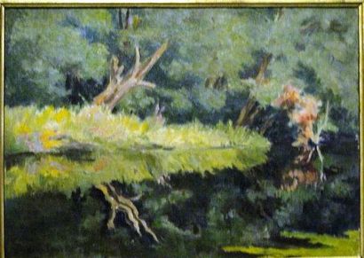 LUCE Frédéric (1896 - 1974) Petit bras de Seine, huile sur toile signée en bas à...