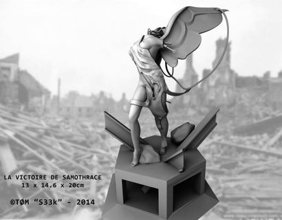 TØM S33K LETSCHER VDS3D Sculpture 3D 20 x 13 cm