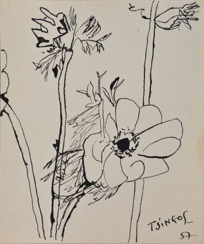 null TSINGOS Thanos, 1914-1965,

Fleurs, 1957, 

plume et encre de Chine, signé et...