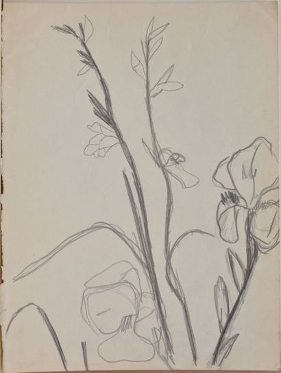 null TSINGOS Thanos, 1914-1965,

Branches fleuries, 

mine de plomb sur papier beige,...