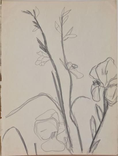 TSINGOS Thanos, 1914-1965 Branches fleuries, mine de plomb sur papier beige, non...