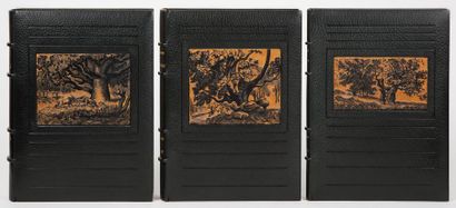 DALMON (Henri) Fontainebleau antique forêt de Bierre. S.l., 1945. 3 volumes in-4,...