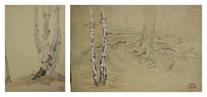 CREPIN Suzanne, 1880-1956 Etude de pied d'arbre - Deux études d'arbres 2 dessins...