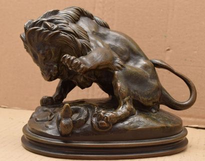 BARYE Antoine Louis, d'après Lion au serpent n°3 bronze à patine brune nuancée de...