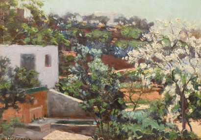 DELACROIX André, mort en 1934 L'acacia en fleurs, Sidi Bou Saïd, 15 avril 1920 huile...