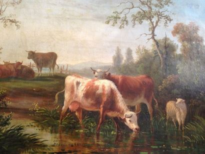 Ecole XIXème Vaches Huile sur toile, porte une signature Godchaux 54 x 63 cm