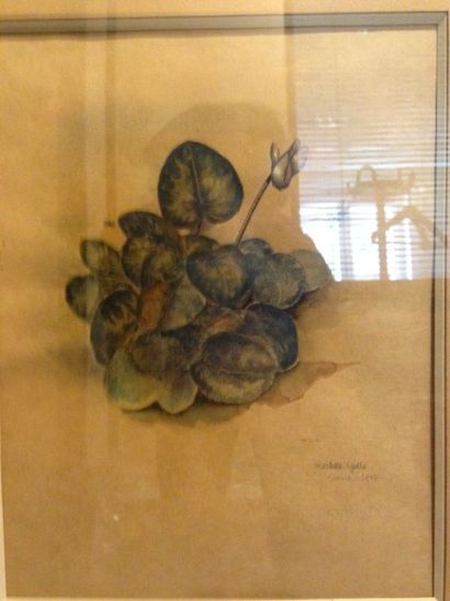 LYDIS Mariette, 1894-1970 

Cyclamen, 1933

Aquarelle,signé et daté en bas à droite

26...