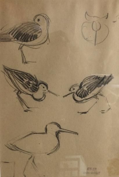 MARGAT André (1903-1997) Etude d'oiseaux Crayon noir, cachet de l'atelier en bas...