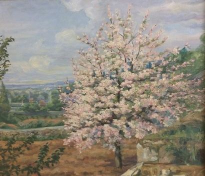 ROLLANDET MORIN G. Pommier en Fleurs Huile sur toile, signée en bas à droite, 54x66...