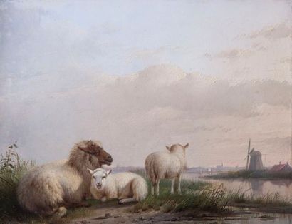 Ecole Hollandaise du XIXème siècle Moutons près du moulin Huile sur panneau, trace...