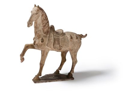 null Mingqi représentant un cheval harnaché. 
Chine, Tang fin VII-VIIIème siècle....