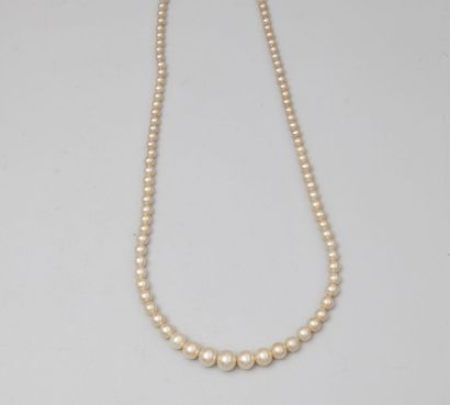 null Collier de perles fantaisie