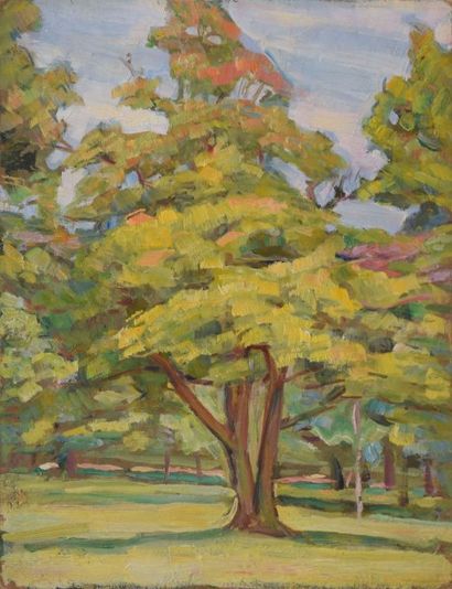 SCHLEIFER Savery, 1888-1944 Grand arbre, 

huile sur carton, cachet d'atelier au...