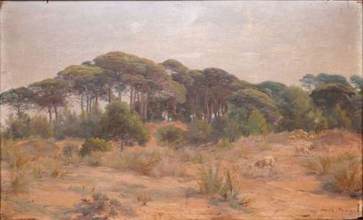 BOIVIN Emile, 1846-1920 
Paysages du Midi
Une huile sur panneau et une huile sur...
