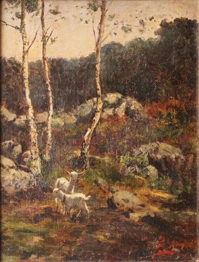 CORCHON DIAQUÉ Federico, 1853-1925 
Chèvre et chevreau, forêt de Fontainebleau
Huile...