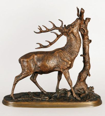 MÈNE Pierre-Jules, 1810 -1879 Cerf à la branche Bronze à patine médaille, sur la...