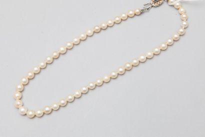 null Collier "ras du cou" de perles, fermoir en or gris 18k (750). 

Poids brut :...