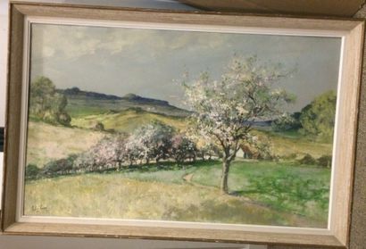 null CLAIRE Auguste-Jean (1881-1970)

Le verger fleuri

Huile sur toile, signée en...