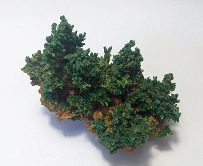 null Jolis buissons de PYROMORPHITE vert foncé sur gangue, Mine des Farges, Ussel,...