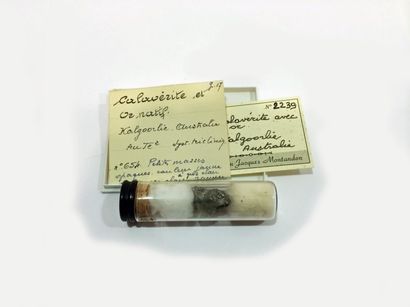 null Pièce ancienne: petit échantillon de CALAVERITE avec OR natif, dans un tube.
Provenance:...