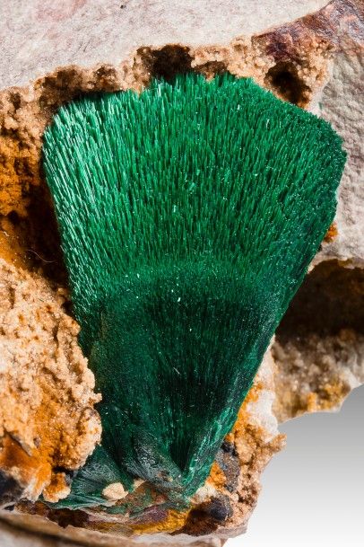 null MALACHITE sur gangue: magnifique gerbe radiée verte (3,5 cm) isolée sur une...