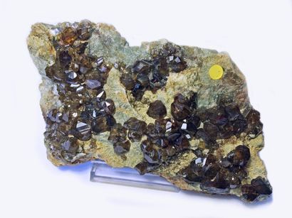 null Magnifique TOPAZOLITE (var. ANDRADITE) de Madagascar: abondants cristaux bruns...