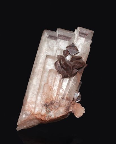 null Très jolis cristaux bruns de CALCITE sur cristaux allongés (10 à 14 cm) en sifflets...