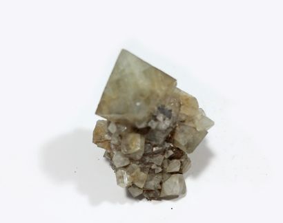 null Imposant cristal isolé de WARDITE (3,5 cm) sur gangue (4,5 x 3 cm), l'un des...