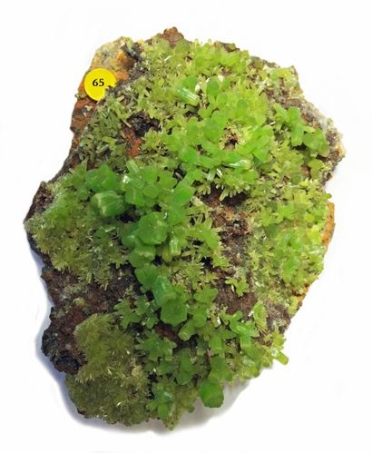 null Jolie PYROMORPHITE verte: élégant ensemble de tonnelets bien formés et d'aiguilles,...