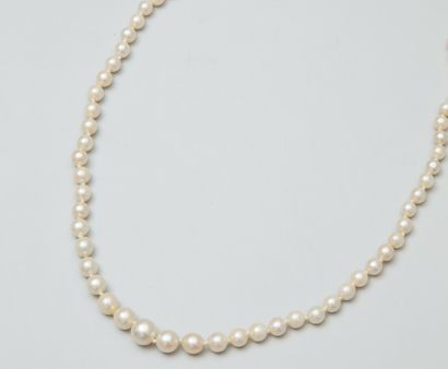 null Collier de perles de culture en chute, le fermoir en or gris 18K (750) serti...