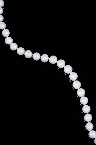 null Collier de perles de culture en légère chute, le fermoir en or gris 18ct (750)....