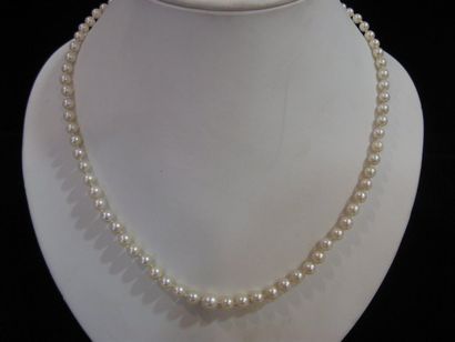 null Collier formé de perles de culture disposées en chute, fermoir perle.