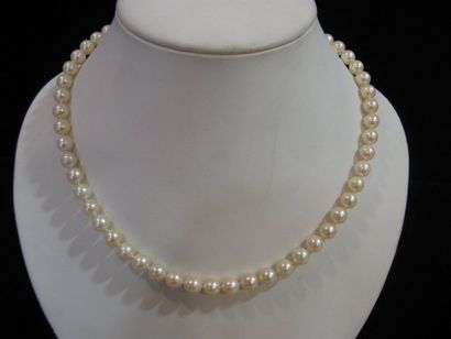 Collier formé de 46 perles de culture disposées...